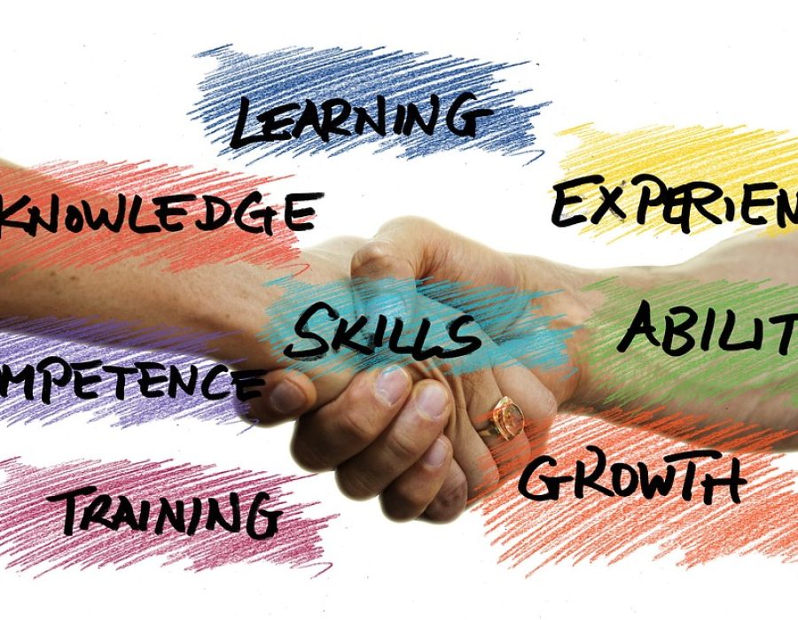 skills, professional development, competence, knowledge, success, strategy, ability, experience, goal, concept, performance, businessman, reliability, professionalism, flexibility, innovation, training, growth, handshake, skills, skills, skills, skills, professional development, knowledge, success, success, success, success, success, experience, goal, innovation, training, training, training, training, handshake