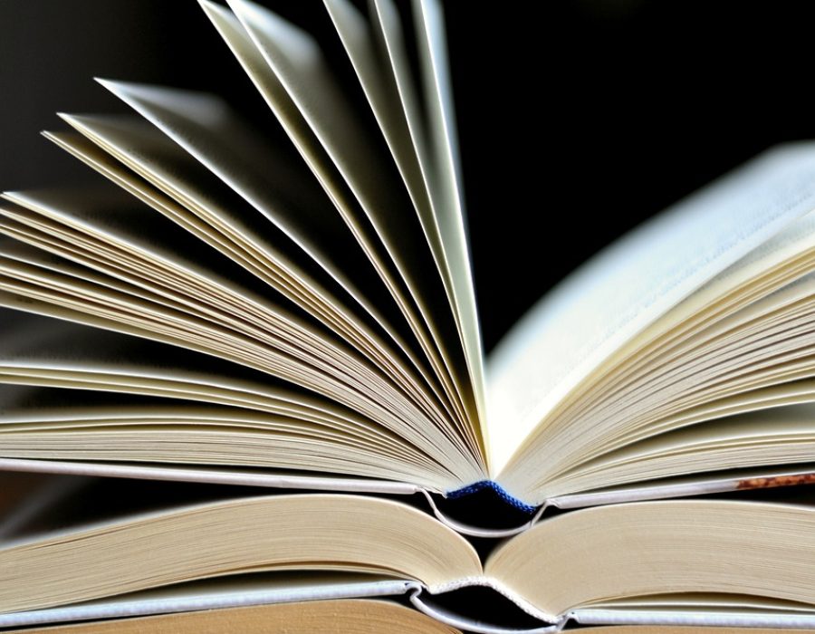 book, read, book pages, literature, knowledge, reading, education, study, pages, paper, open, book stack, book, book, book, book, book, reading, reading, reading, education, education, education, education, study, study, study